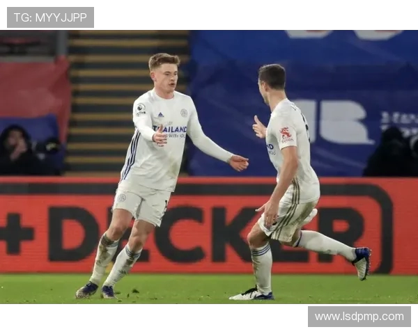 加的夫城与纽斯卡尔的激烈对决谁将赢得英超荣耀之战